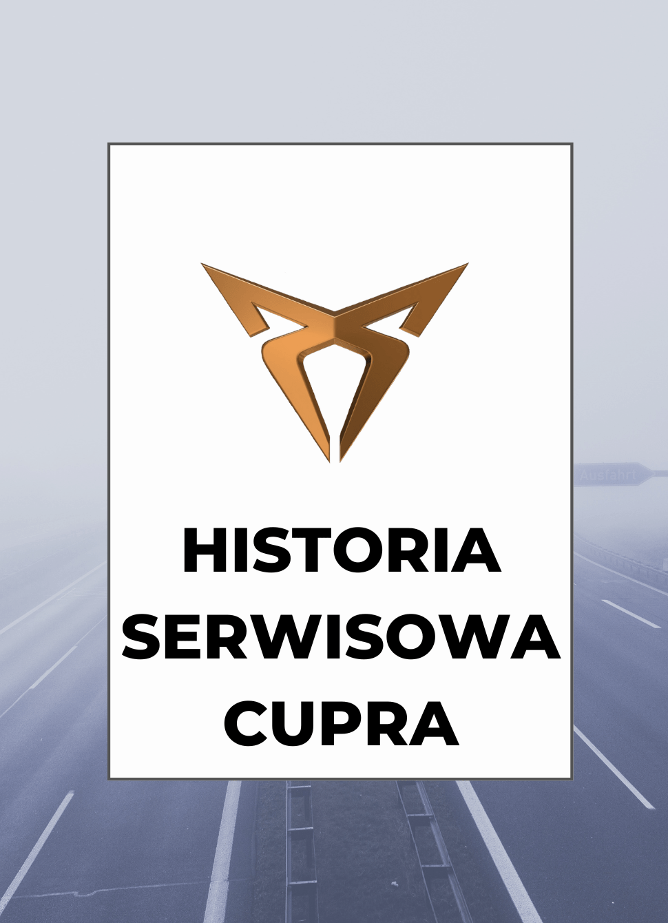 Przebieg po VIN Cupra - historia serwisowa ASO CUPRA