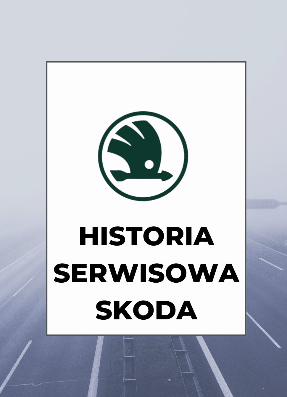 Raport VIN Skoda - historia serwisowa i przebieg