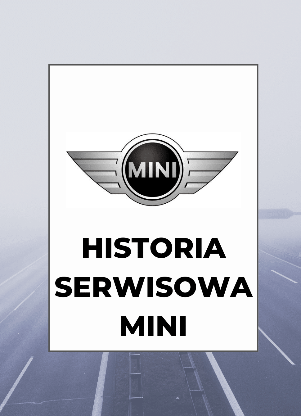 MINI VIN sprawdzenie przebiegu