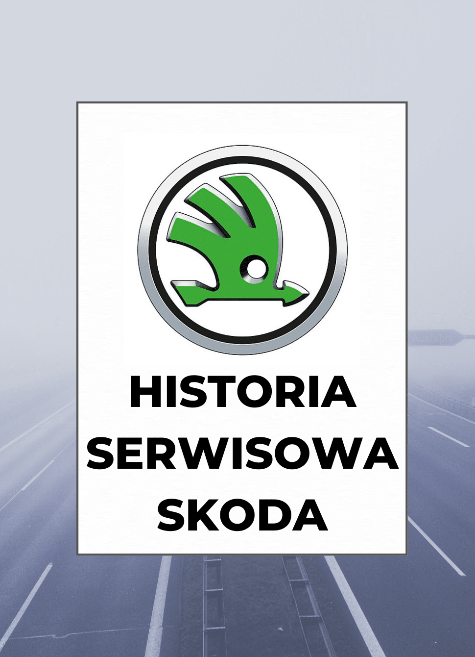Historia serwisowa ASO Skoda – przebieg po VIN