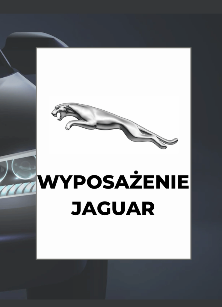 Wyposażenie JAGUAR po VIN