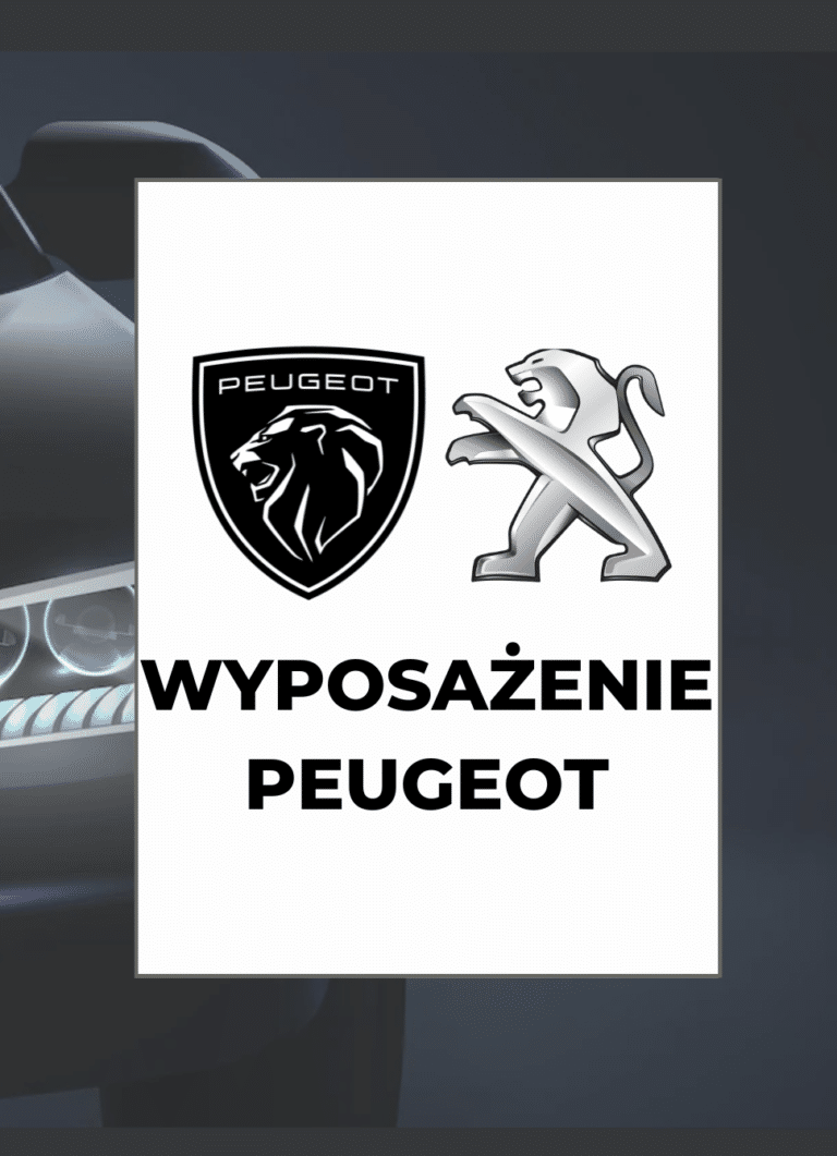 Dekoder wyposażenia Peugeot pełna lista w PDF