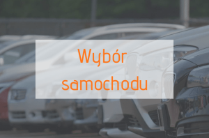 Wybór samochodu.